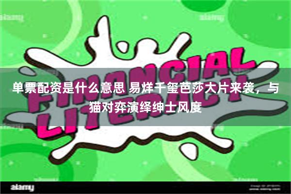 单票配资是什么意思 易烊千玺芭莎大片来袭，与猫对弈演绎绅士风度