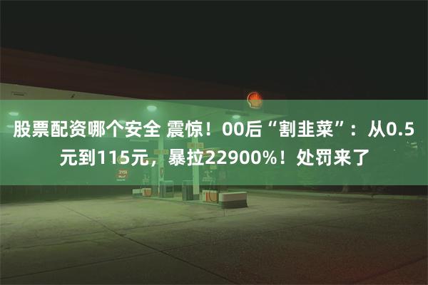 股票配资哪个安全 震惊！00后“割韭菜”：从0.5元到115元，暴拉22900%！处罚来了